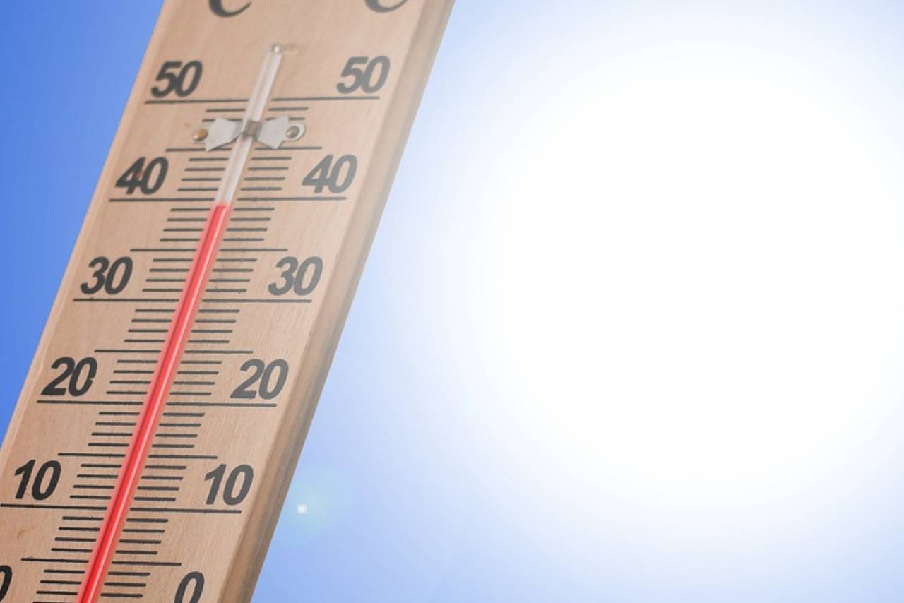 Buying the right food thermometer can be a bit intimidating. There are so many options and it can be hard to know where to start. Thankfully, we've compiled a list of some of the most important points you need to know about food thermometers. From reading reviews, to figuring out the best brands, to understanding different types of thermometers, this guide will help you get started. If you're looking for a new food thermometer, you've come to the right place!