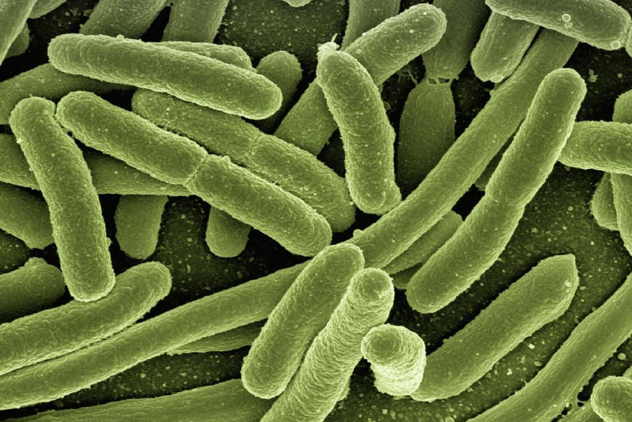 Avoiding cross contamination is crucial to preventing food poisoning and foodborne illness outbreaks.