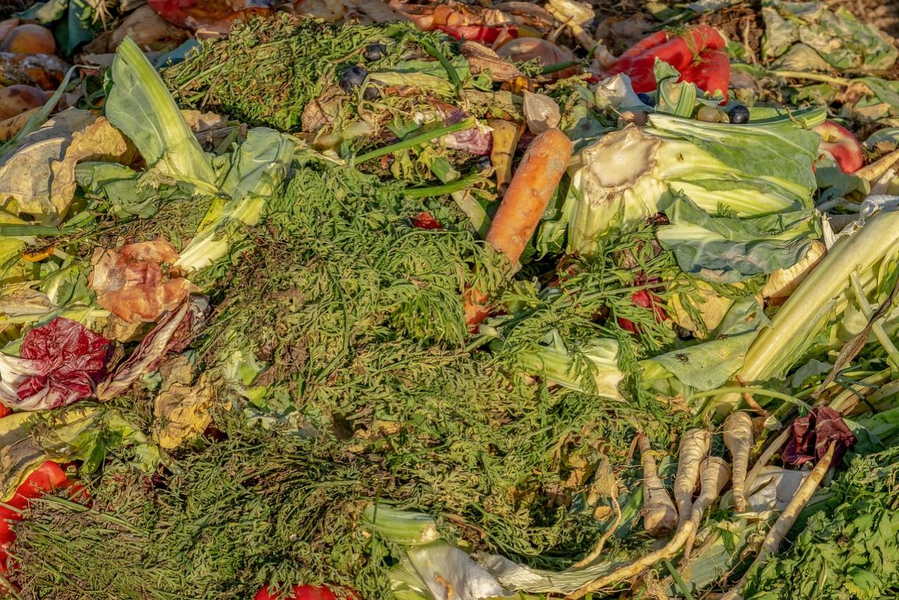 Not only is food waste harmful to the environment, but it also costs us money. Let's take a look at 6 food waste management strategies that can help you reduce the impact of it in your organization.