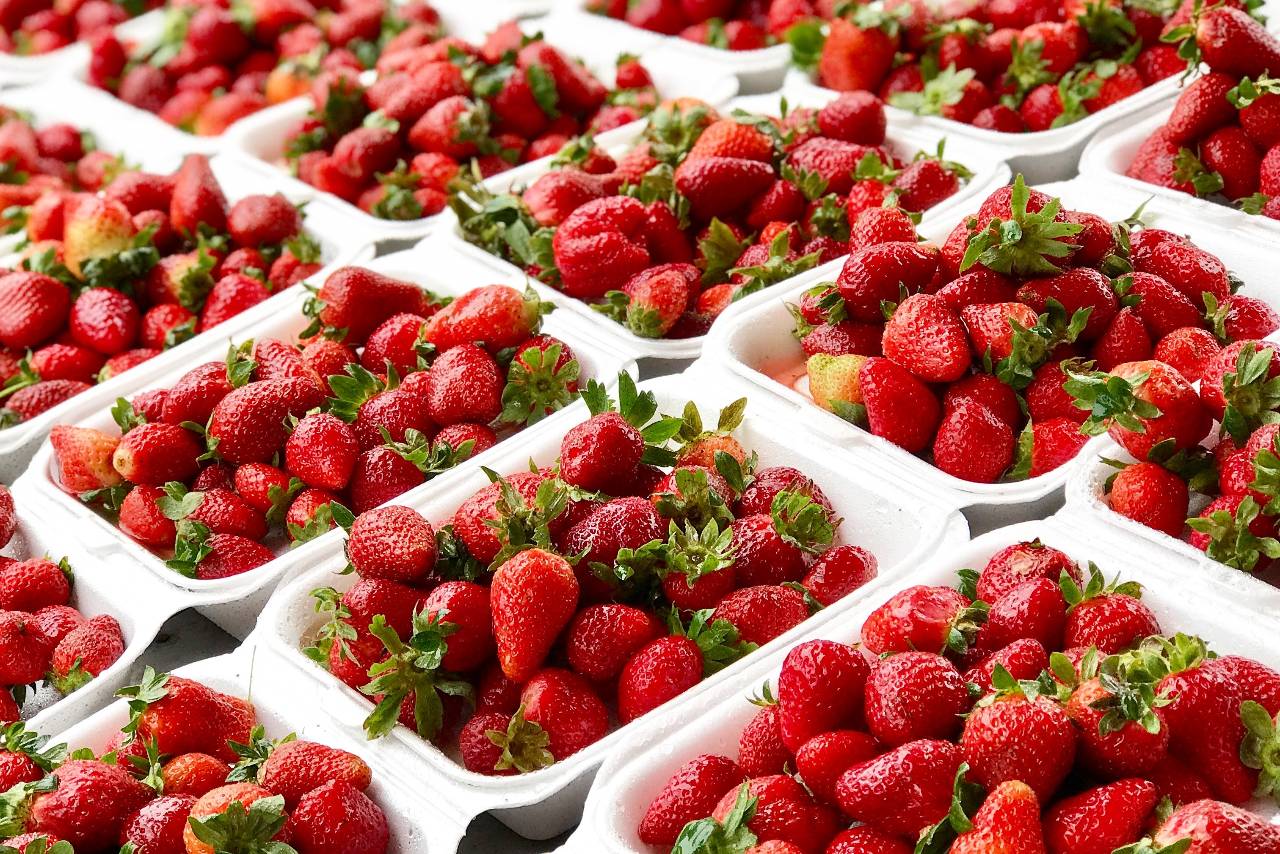 Perishable goods, such as produce, dairy products, and raw meats, require proper transportation methods that will guarantee their freshness.