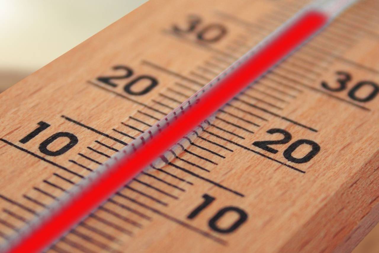 There are a lot of types of kitchen thermometers on the market, but which one is worth your money? We talk about the best kitchen thermometers to help you decide on which one is right for you.