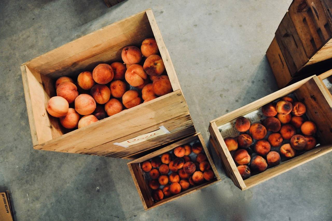 The fridge is the best place to store food because it is the coldest area in the house and this is what makes food safety fridge storage that important.
