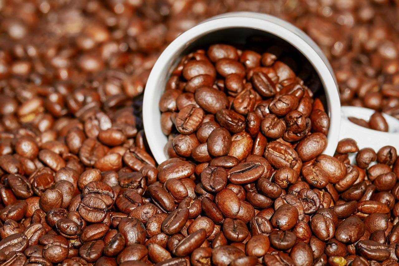 When it comes to the importance of food and beverage handling processes, it can be difficult to understand just how important these processes are.