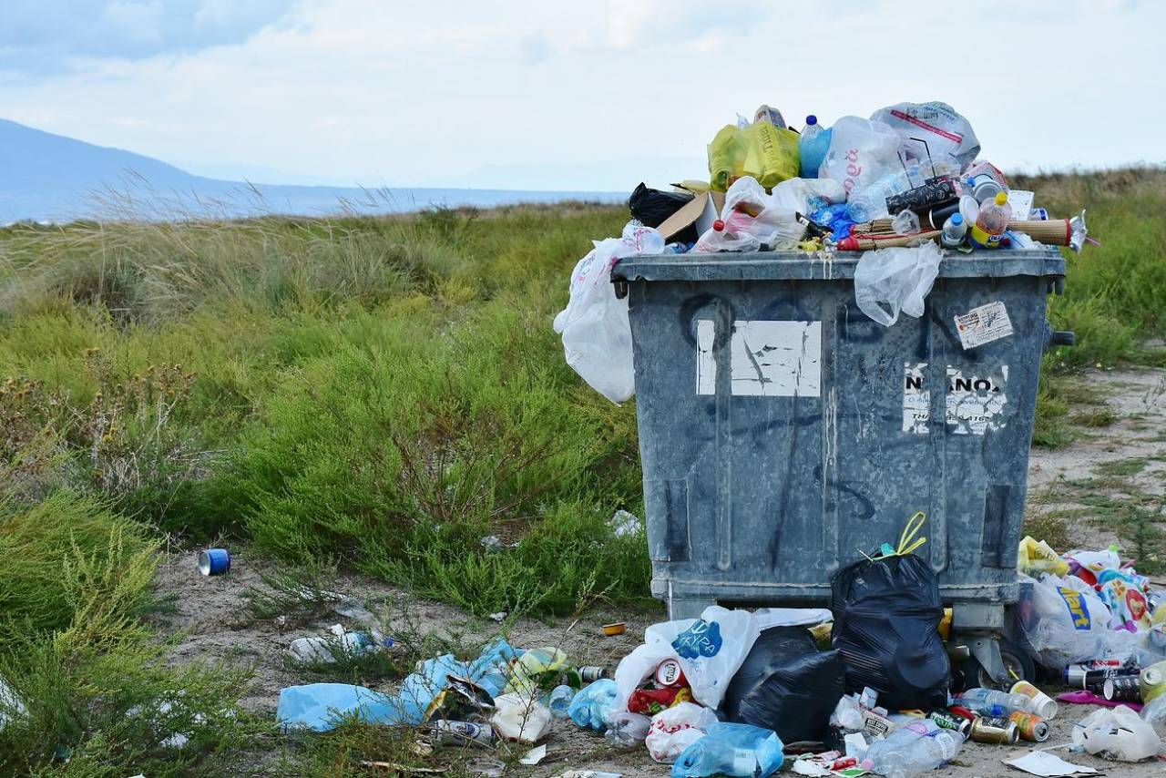 The world is facing a food wastage problem. Every year, over 1.3 billion tons of of food is wasted and it's costing the global economy billions of dollars. This has become an increasing problem.