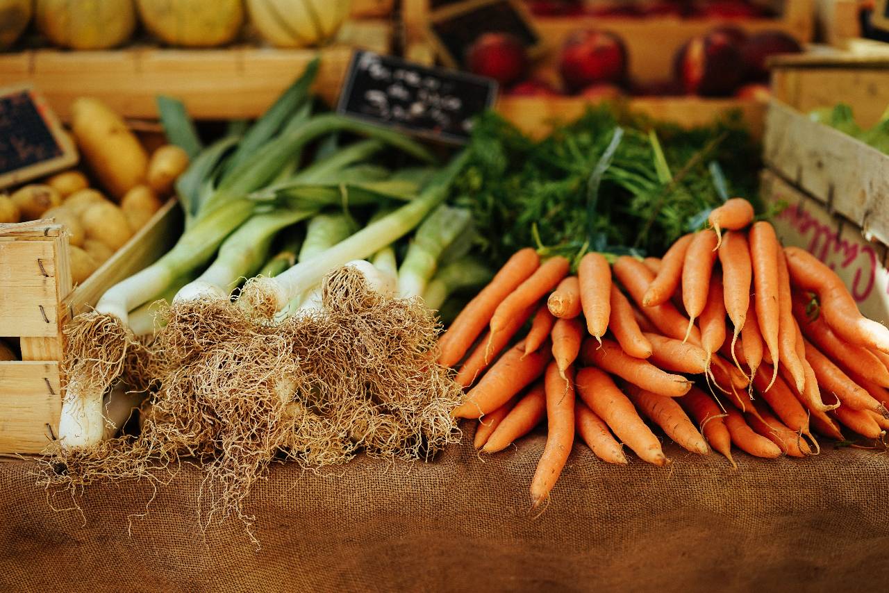 the-ultimate-benefits-of-food-management-1612557480-6636.png